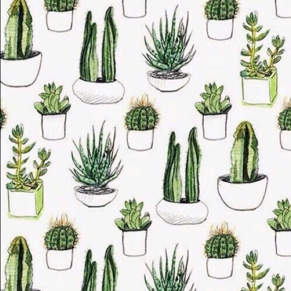 Meet your Posher, Hanna